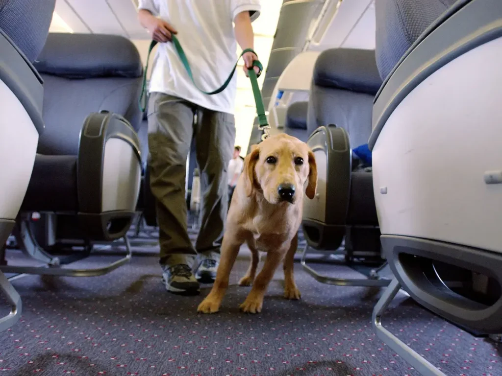 Manage Lufthansa Pets Travel Service