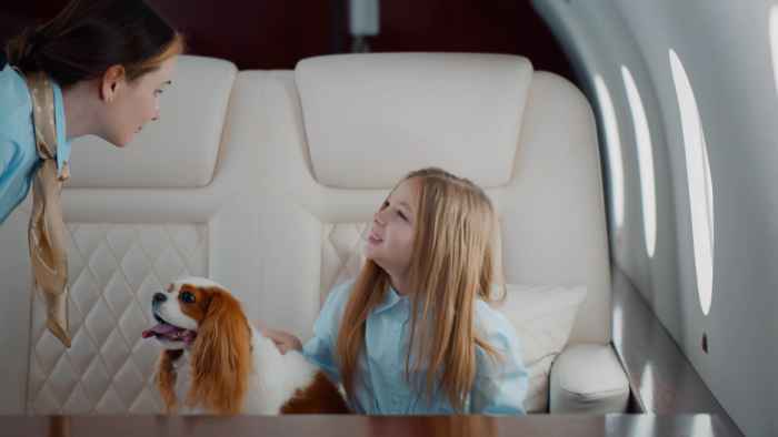 Check IcelandAir Pet Travel Policy
